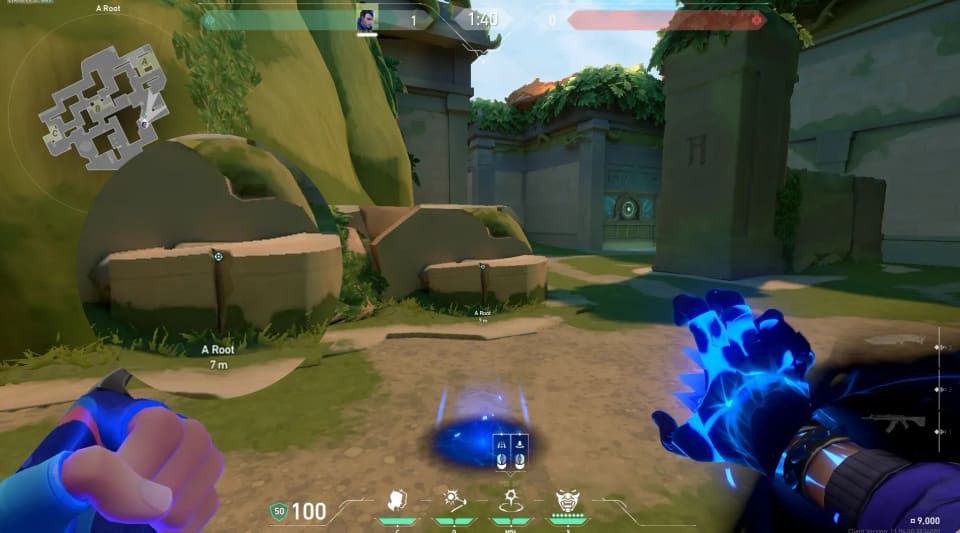 A Root to A Backsite image 2